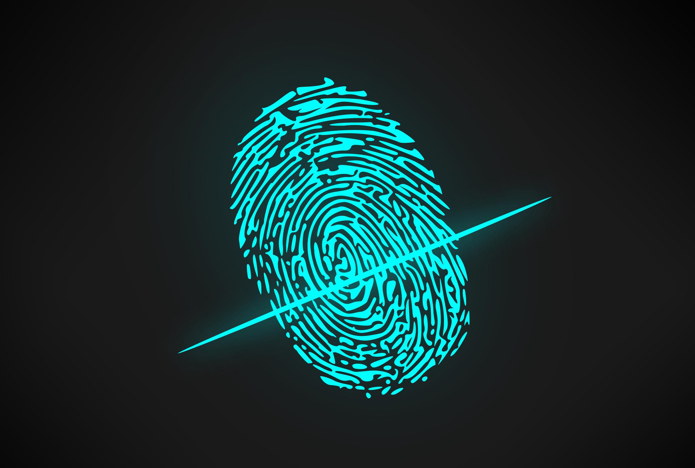 biometric fingerprint scan